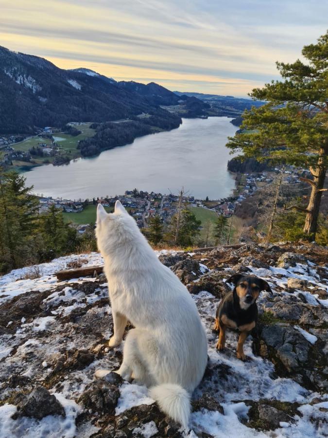 Ferienhaus Gerlach Hintersee Esterno foto